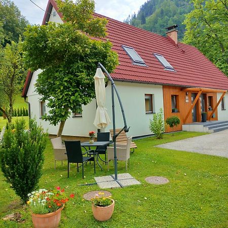 Apartmaji Pri Dravi Podvelka Zewnętrze zdjęcie